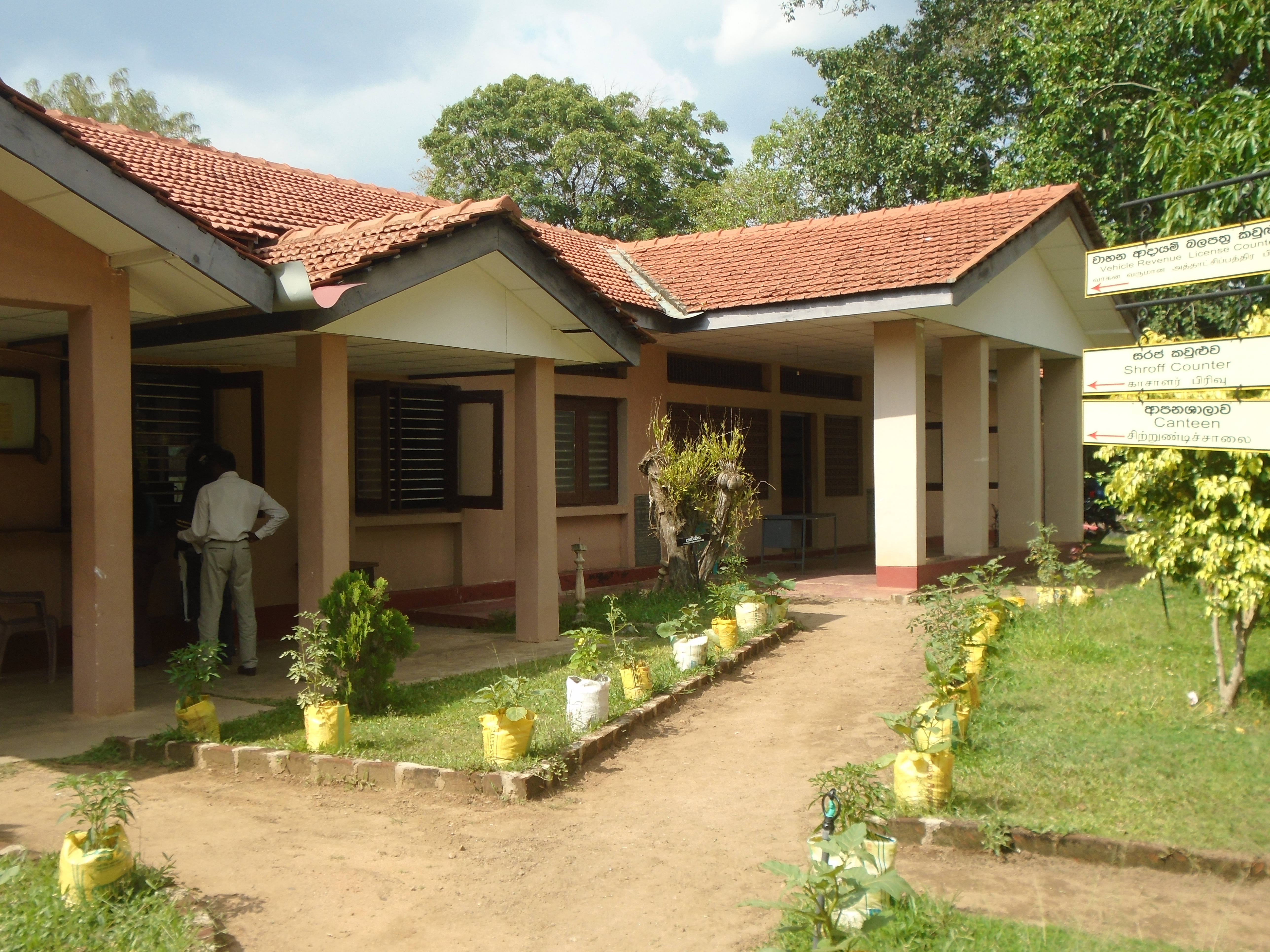 DSC02989